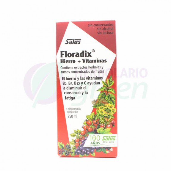 Floradix 250ml Salus